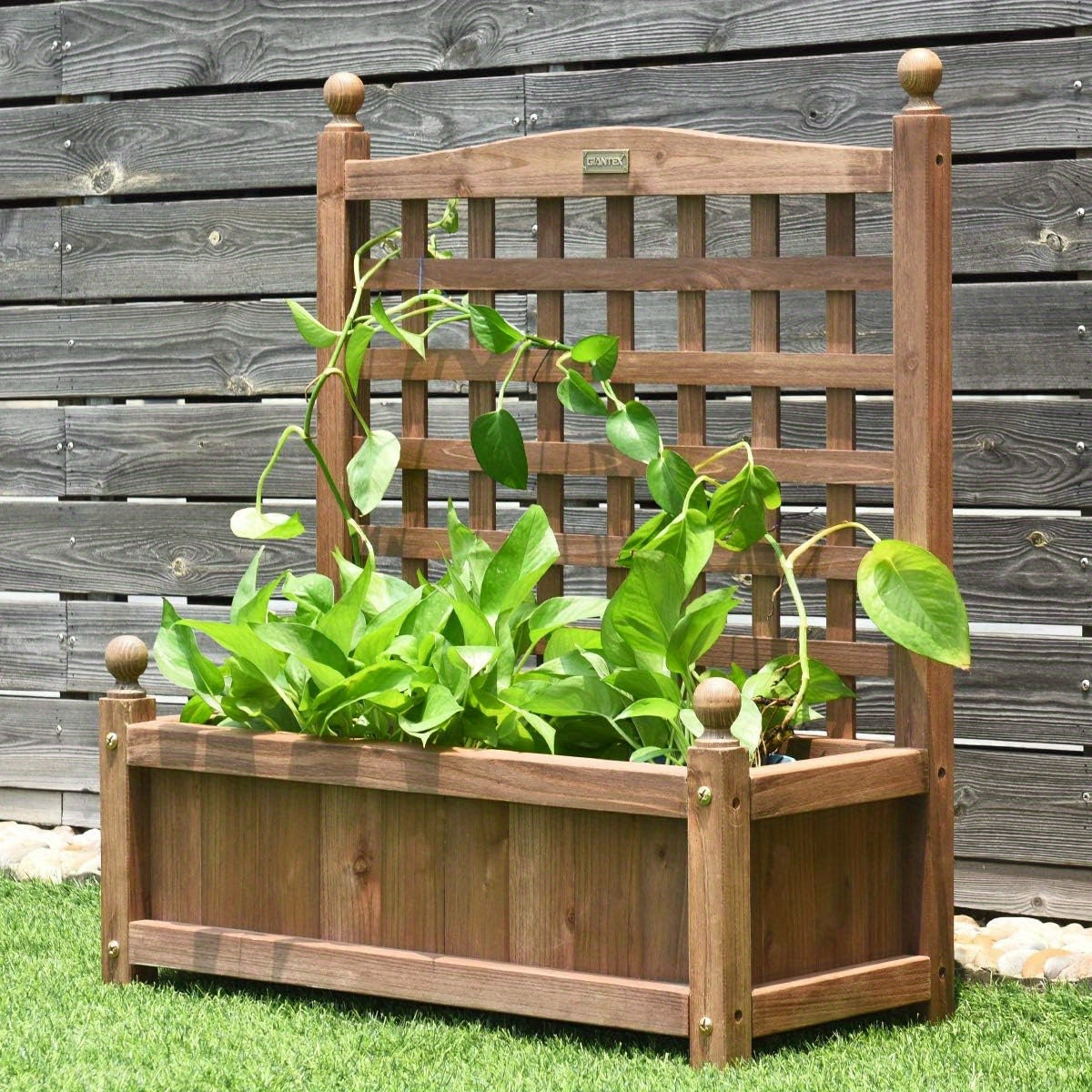 Verhoogde Plantenbak – Houten Tuinbak – Bloemenbak – Kruidenbak – Groentebak – Met Klimrek – Gemaakt Van Duurzaam Vurenhout – Afmetingen 64,5x28x75 cm