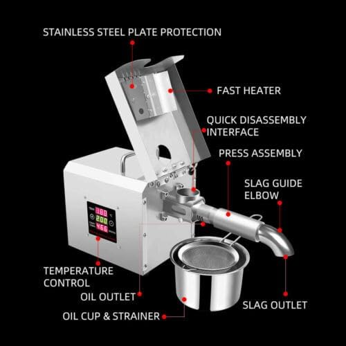 Stainless Steel Oil Press for Oil Extraction, Automatic Oil Press for Most Oil Plants, 220V, 750W - QUORE