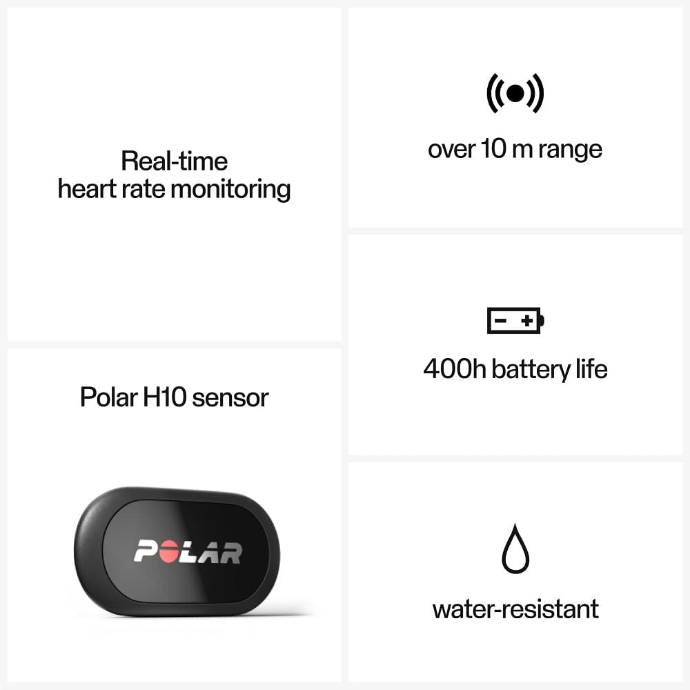Polar Equine Hartslagmeter voor paardrijden