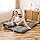 Maxyoyo Japans vloermatras, futon-matras, dikkere tatami-mat, slaapkussen, opvouwbaar, oprolbaar matras, slaapzaal, matras, vloerligstoel, kussen, bed (antracietgrijs, tweepersoons)