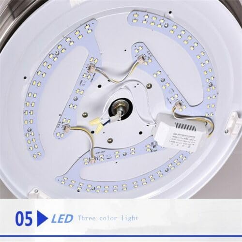 36 Inch 220V Ceiling Fan, Dimmable, Modern Smart Ceiling Light with LED Lights and Remote Control, Adjustable Wind Strength, Fan Lamp for Bedroom and Living Room, Silver - QUORE