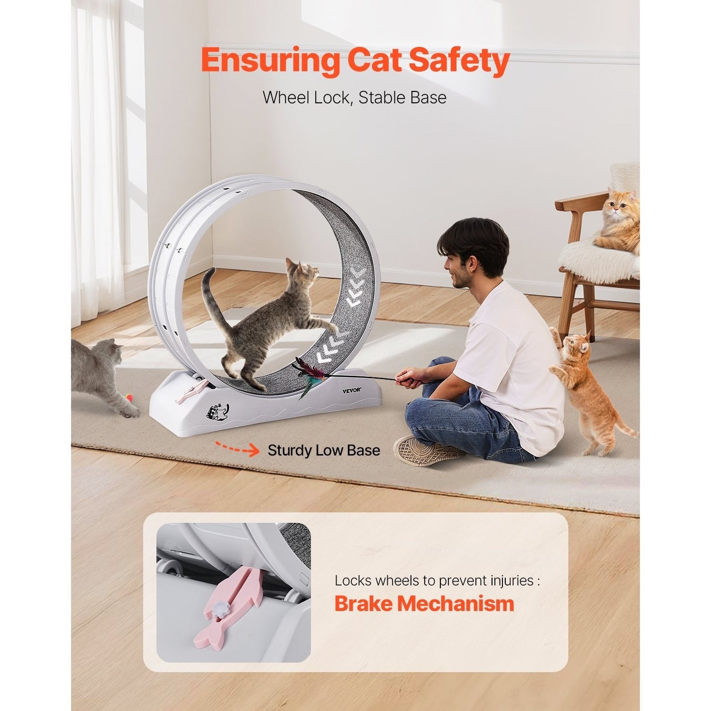 Kattenloopwiel – Kattenrad – Kattenrennrad – Kattenrennen – Kattenfitness – Groot 80 cm Diameter – Stil En Stabiel Ontwerp