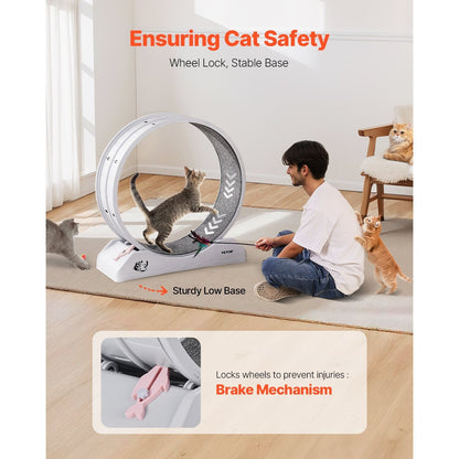 Kattenloopwiel – Kattenrad – Kattenrennrad – Kattenrennen – Kattenfitness – Groot 80 cm Diameter – Stil En Stabiel Ontwerp