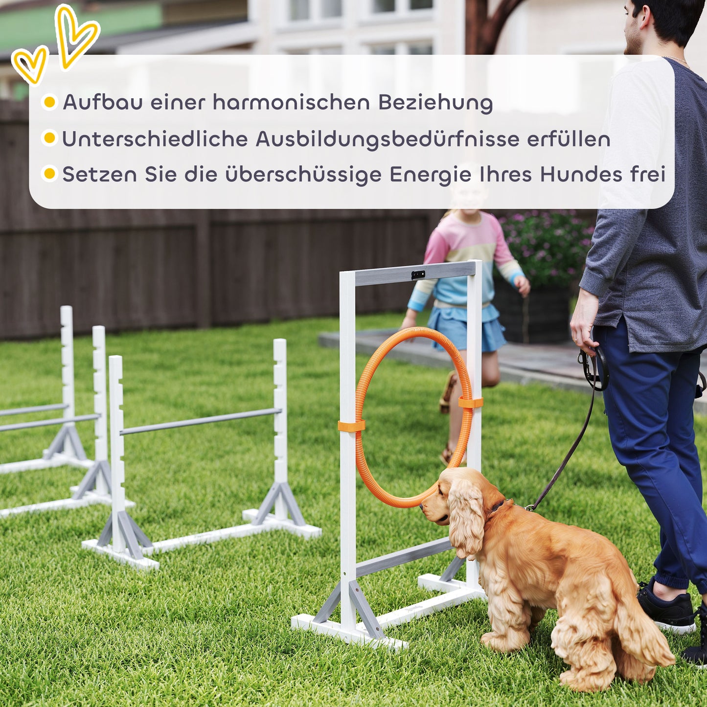 Agilityset hond – Behendigheidsset – Hondentraining – Horden – Springring – 4-delig – Verstelbare Hoogte 21-61 cm – Gemaakt van Duurzaam Grenenhout en Plastic