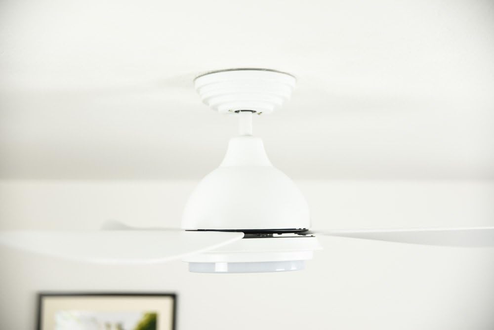 moderne design Plafondventilator Pepeo Raja met dimbare LED-verlichting en afstandsbediening - 122cm - Wit - Energiezuinige stille DC Motor - 3 lichtkleuren - Omkeerbare winter- en zomerstand, timer