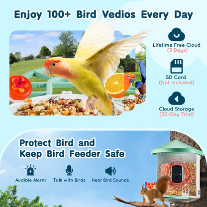 Vogelfotocamera – Vogelvoederhuisje – Wildcamera – Nestkastcamera – Slimme Voederautomaat – 2K HD Camera – AI Vogelherkenning & Zonne-energie