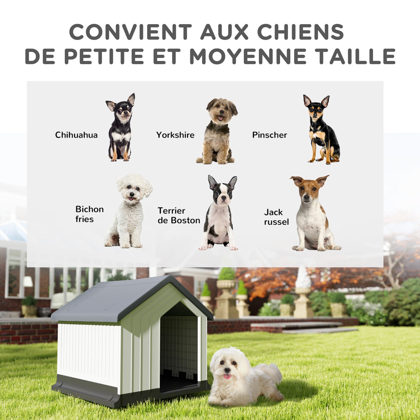 Hondenhok – Hondenkennel – Hondenhuis – Hondenbench – Buitenkennel – Waterdicht Kunststof – Compact 62x61x60 cm – Ventilatieraampje
