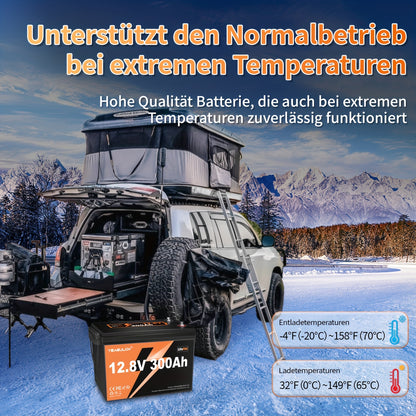 12V 300Ah LiFePO4 Accu – Lithium Accu – Camper Accu – Boot Accu – Zonne-energie Accu – 10000+ Cyclus Levensduur – Ingebouwde BMS Veiligheid