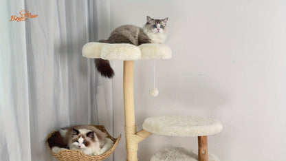 Kattenkrabpaal – Krabmeubel – Kattenboom – Krabtoren – Kattenhuis – 142 cm Hoog – Stevig Hout En Soft-Touch Textiel