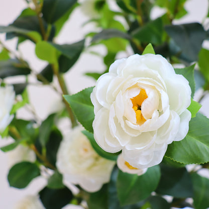2pcs Artificial Camellia Tree with Realistic Trunk & Lush Green Leaves - 150cm/180cm Tall Fake Plants with White Flowers, All-Season Indoor/Outdoor Silk & Plastic Trees in Black Pots for Home, Office, Porch, Patio - Low Maint