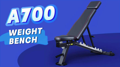 Fitnessbank – Halterbank – Trainingsbank – Bench Press Bank – Verstelbaar & Inklapbaar – 550 kg Belastbaarheid – Roestvrijstalen Frame