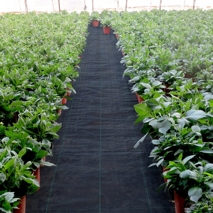 Kijkdoek – Neteldoek – Passeerdoek – Zeefdoek – Notenmelkzak – Zwaar Geweven Polypropyleen – 1,2 x 91,4 meter