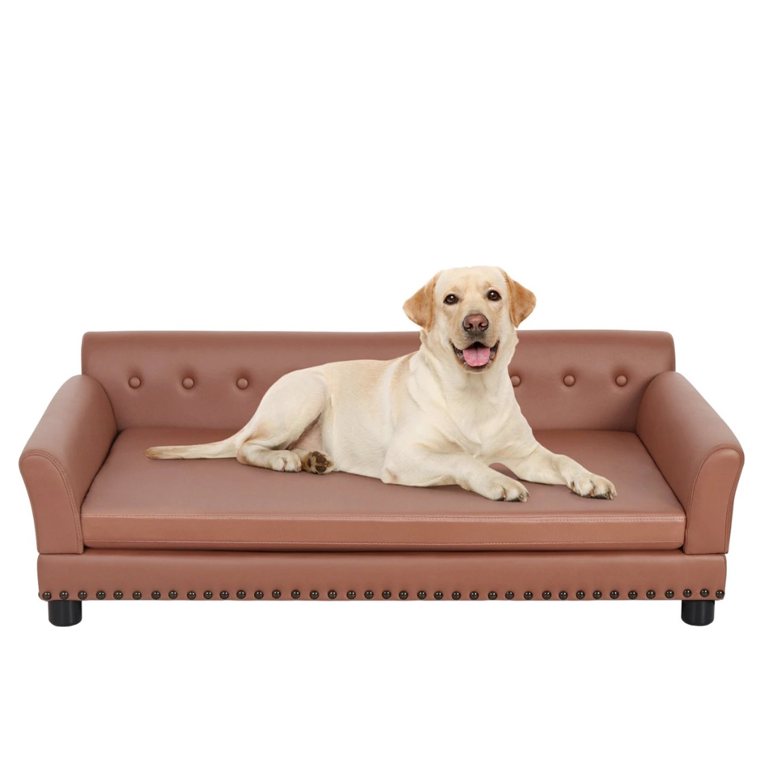 Huisdier slaapbank - Bingopaw - Waterdicht sofa-type honden bed- Huisdier knuffel lounge bed - Met afneembaar kussen - XL - 120 x 78