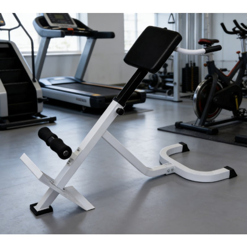 Adjustable Back Extension Bench Roman Chair Home Gym Equipment - 5-Level Strength Training System with Core Workout Bench, Space-Saving for Small Apartment, Easy Assembly, Durable Frame & PU (for Back Extensions,