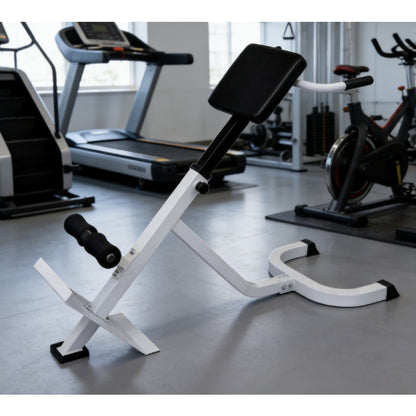 Adjustable Back Extension Bench Roman Chair Home Gym Equipment - 5-Level Strength Training System with Core Workout Bench, Space-Saving for Small Apartment, Easy Assembly, Durable Frame & PU (for Back Extensions,