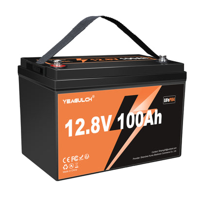 Li-ion Accu – Lithium Batterij – LiFePO4 Accu – Energieopslag Batterij – Batterij 12V 100Ah – Ingebouwd 100A BMS – 6000 Cyclus Levensduur