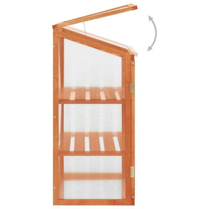Kas – Kweekkas – Plantenkas – Tuinkas – Serre – 60x45x100 cm – Duurzaam Dennenhout