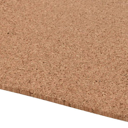 Kurkbord – Prikbord – Memobord – Wandbord – Kurkplaat – Extra Groot 100x500 cm – 8 mm Dik & Duurzaam