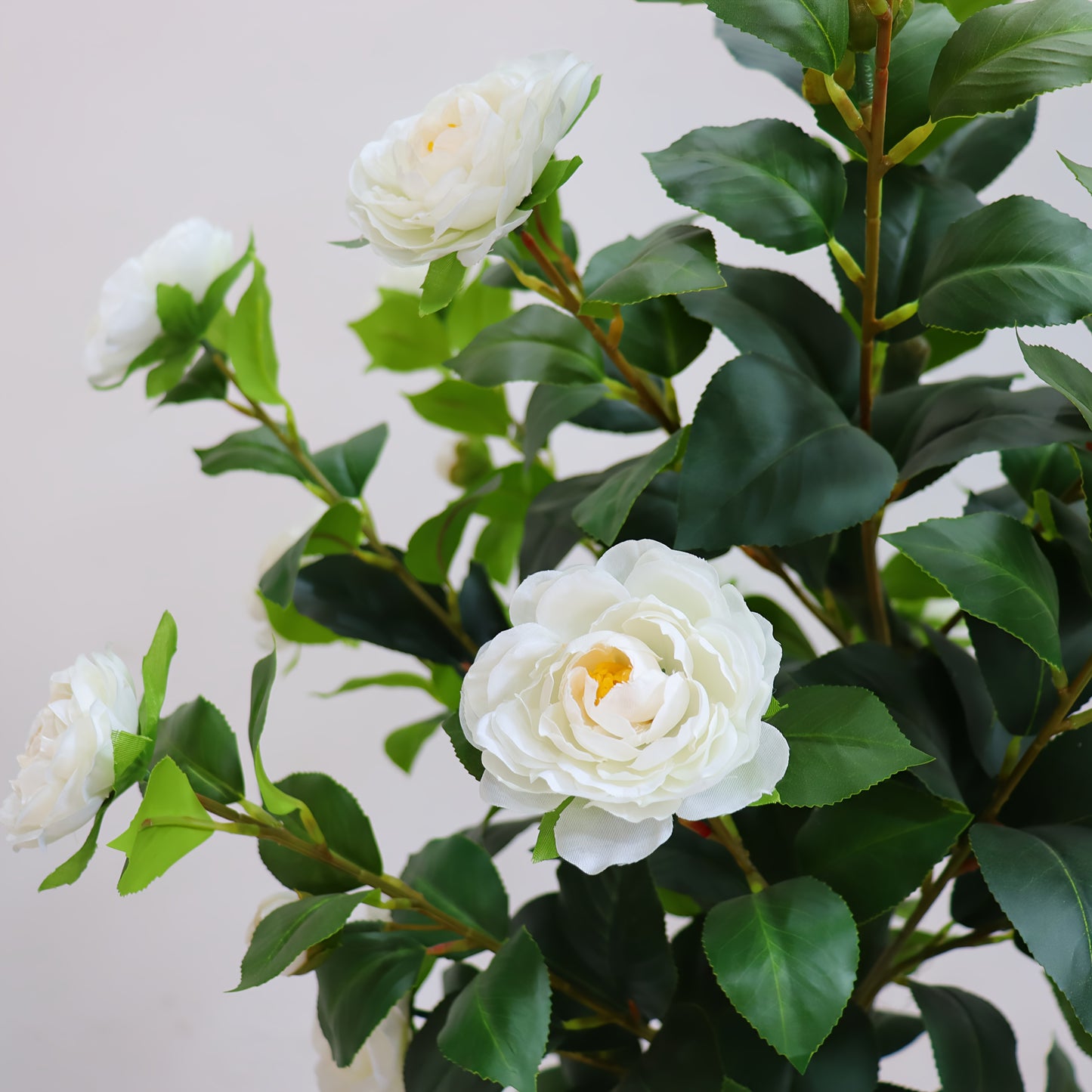 2pcs Artificial Camellia Tree with Realistic Trunk & Lush Green Leaves - 150cm/180cm Tall Fake Plants with White Flowers, All-Season Indoor/Outdoor Silk & Plastic Trees in Black Pots for Home, Office, Porch, Patio - Low Maint