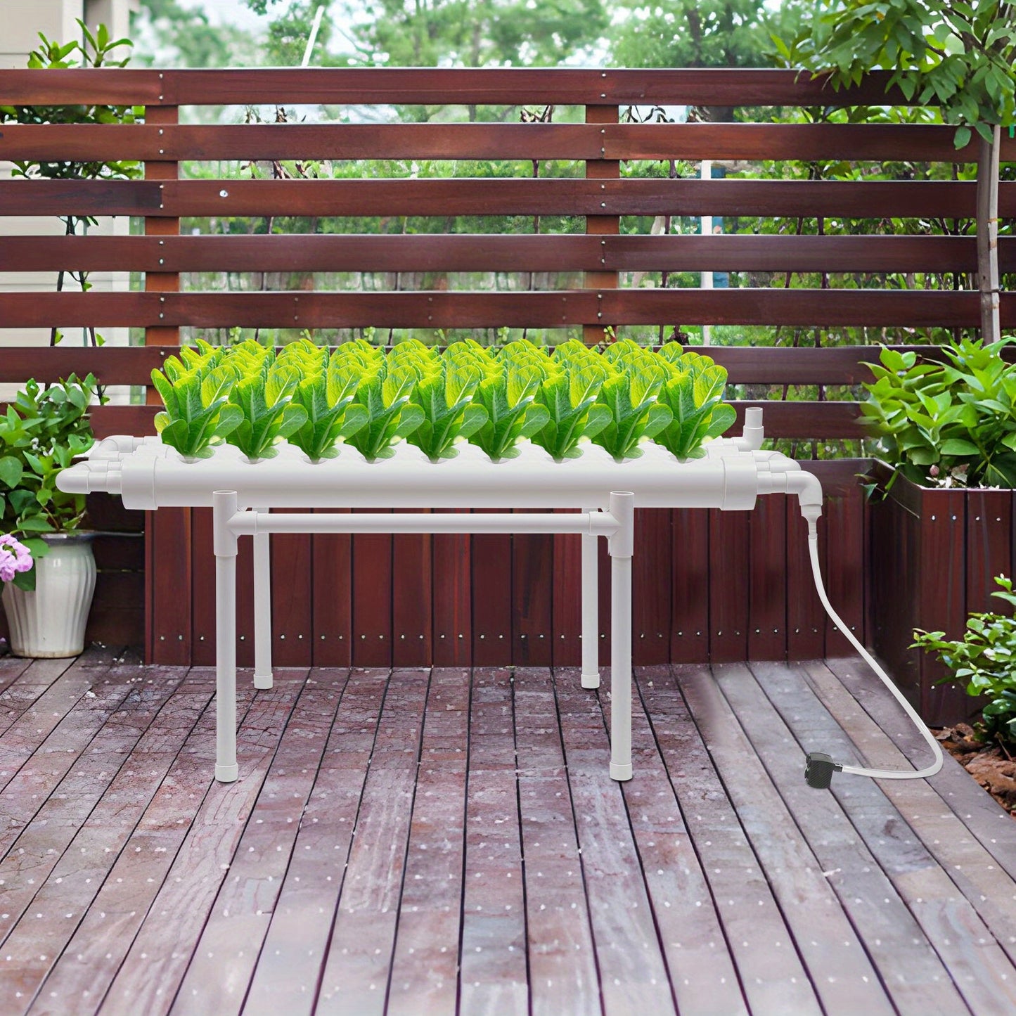Hydroponische Kweekset – Hydrocultuur Bak – Plantenkweekset – Kruidenkweekbak – Groentekweker – 36 Gaten – Zonder Elektriciteit – PE Materiaal – Transparant Design