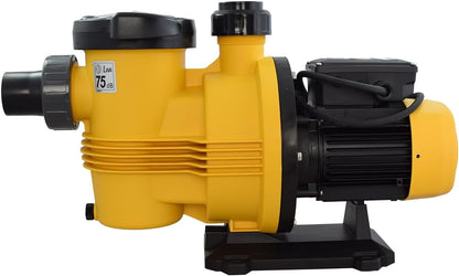 ESPA Leader SIROCCO 100 18M zwembadpomp circulatie water tot 125 m³