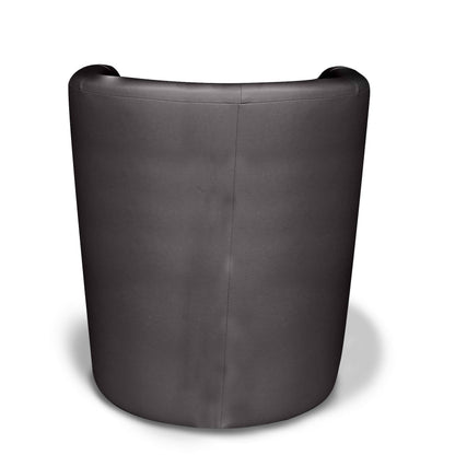 Dpanett Armchair, Upholstered Living Room Chair, Padded Seat with Eco-Leather Armrests, 64x63x76 cm, Available in 5 Colors