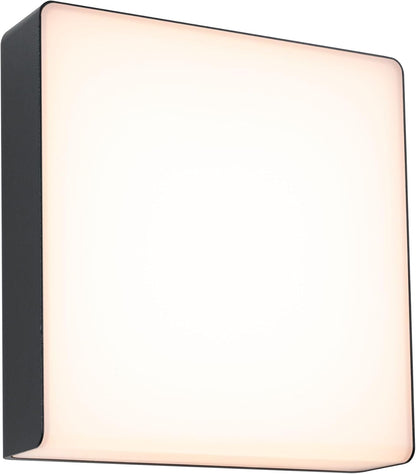 Paulmann 94842 LED-buitenwandarmatuur Smart Home Zigbee Azalena bewegingsmelder IP44 250x97 mm Tunable Warm 8,5 W 700 lm antraciet buitenverlichting