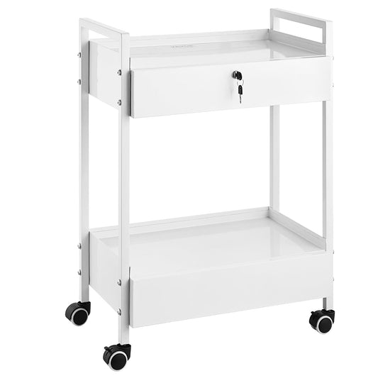 VEVOR Laboratoriumwagen met 2 niveaus, medische trolley van roestvrij staal, serveerwagen, grote draagkracht 100 kg, met 2 laden, voor laboratorium, salon, ziekenhuis, tandgebruik, wit