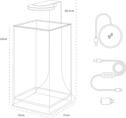 Terrarium van extra helder glas met geïntegreerde led, elegant design voor natuurlijke ecosystemen en watertuinen, afmetingen 15 x 15 x 25 cm (h x b x h)