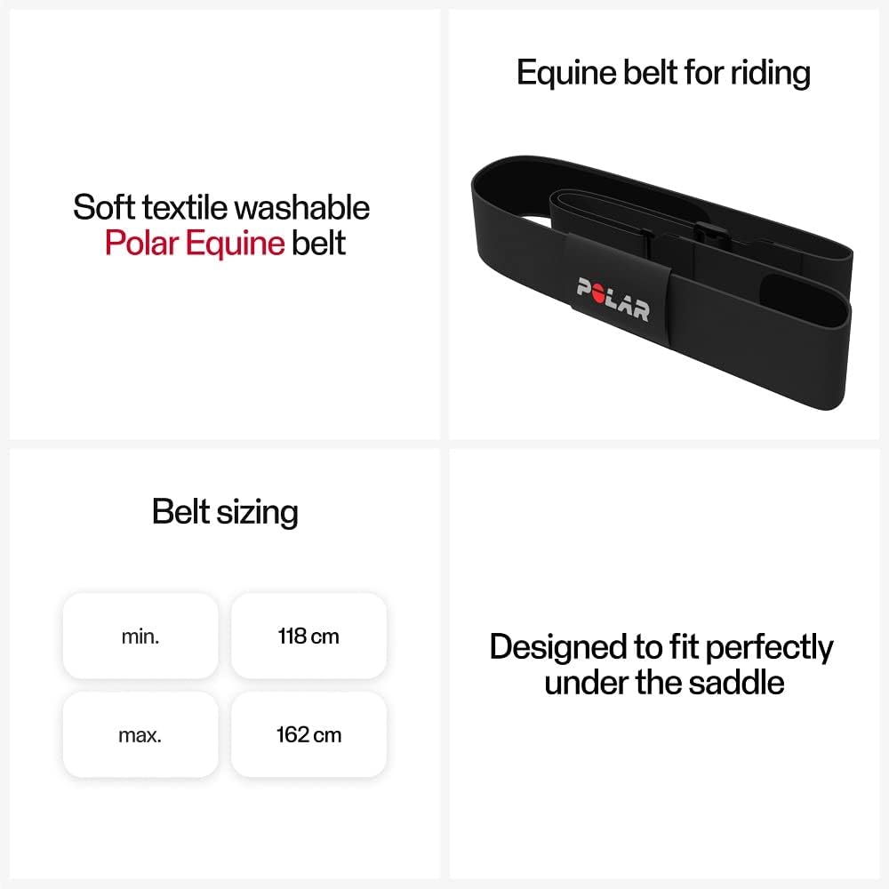Polar Equine Hartslagmeter voor paardrijden
