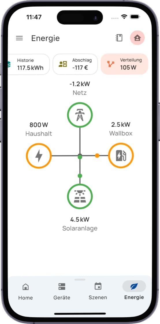 everHome EcoTracker IR - elektriciteitsmeter EHZ uitlezen - leeskop smartmeter - incl. app