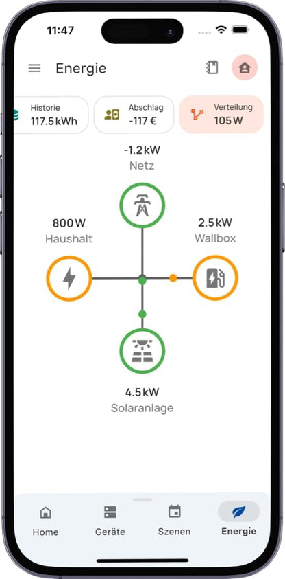 everHome EcoTracker IR - elektriciteitsmeter EHZ uitlezen - leeskop smartmeter - incl. app