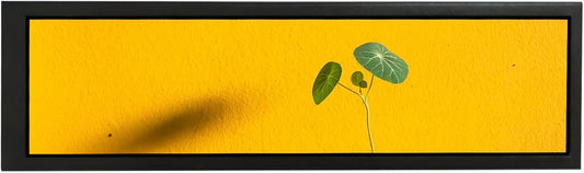 VSDISPLAY Zwart 8.8 inch 1920x480 600 nit IPS Lange Strip LCD-monitor, USB-videopoort, voor DIY Subscherm/PC Case Display