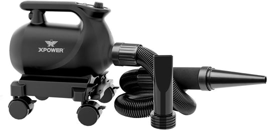 XPOWER Professionele autodroger blower met mobiel dock (A-12)