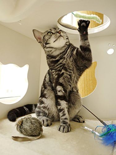 Krabpaal – Kattenkrabmeubel – Kattenklimtoren – Kattenboom – Kattenspeelmeubel – Wit Houtdesign – 200 cm Natuurlijk Sisal