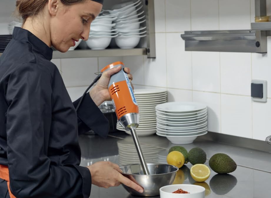 LITTLE BALANCE 8576 Chef Mixx Pro, professionele staafmixer, 2 snelheden, 4 accessoires, 700 W, gemaakt in Frankrijk, wit/roestvrij staal