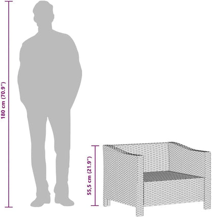Tuinstoel – Tuinfauteuil – Loungestoel – Buitenstoel – Verstelbare Tuinstoel – Poly Rattan – Weerbestendig Met Kussens