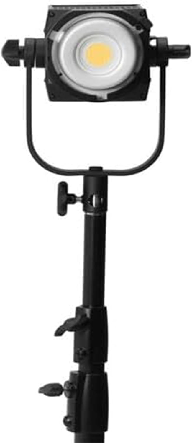 NANLITE FS-300B 300W tweekleurige LED-schijnwerper 2700K-6500K verstelbare CRI 96, app-bediening, led-videolamp Bowens Mount voor fotografie/video/YouTube/TikTok-contentcreatie en livestreaming