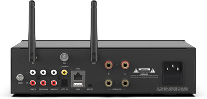 Arylic A100 Draadloze Full Digital HiFi-versterker met FM-radio, 100 W × 2 wifi-en bluetooth-audio-ontvangers, ondersteunt AirPlay, Spotify Connect, Multiroom, ideaal voor KTV, thuisbioscoop en radio.