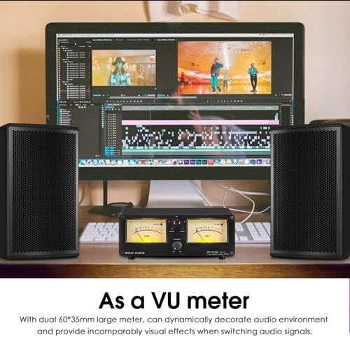 Dual Analoge VU Meter Audio Switcher 2 Way Amp/Speaker Audio Switcher Box Amp Selector DB Paneel Display