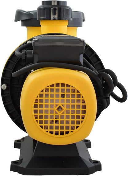 ESPA Leader SIROCCO 100 18M zwembadpomp circulatie water tot 125 m³