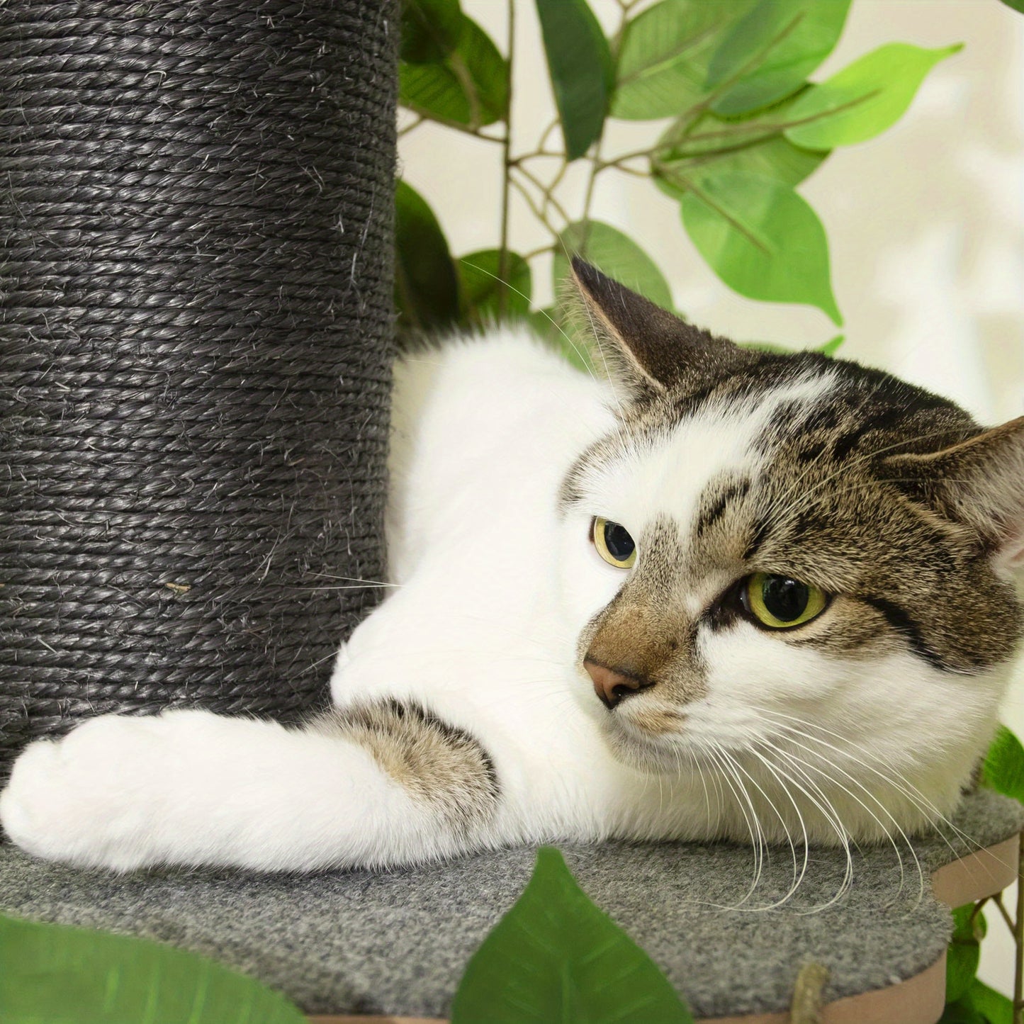 Krabpaal – Kattenboom – Kattenhuis – Kattentoren – Krabmeubel – Multi-level Design – Duurzaam Vezelplaat – Natuurinspiratie Groen