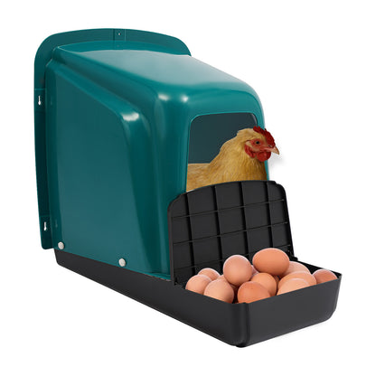 Nestbakken Kip – Kippennest, Legnest, Eibak, Kippenhok Nest – Set Van 5 – Duurzaam kunststof met ventilatie – Eenvoudig schoon te maken – Blauwgroene uitvoering – 2 Compartimenten