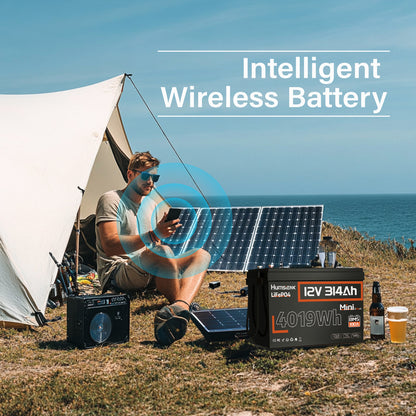 Li-ion Accu – Lithium Accu – LiFePO4 Batterij – 12V Accu – Oplaadbare Accu – 314Ah Capaciteit – Afstandsbediening Met 15.000+ Cyclus Levensduur