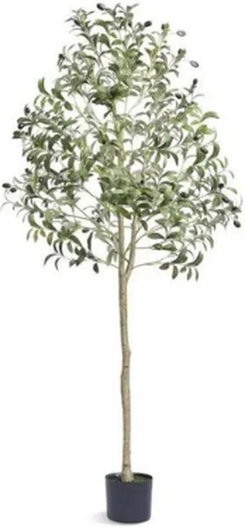 Kunstplanten - Kunstplanten voor binnen - Kunst plant - Olijfboom - 155 cm hoog