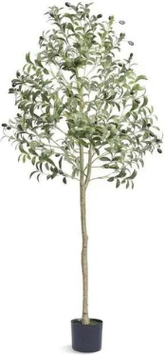 Kunstplanten - Kunstplanten voor binnen - Kunst plant - Olijfboom - 155 cm hoog