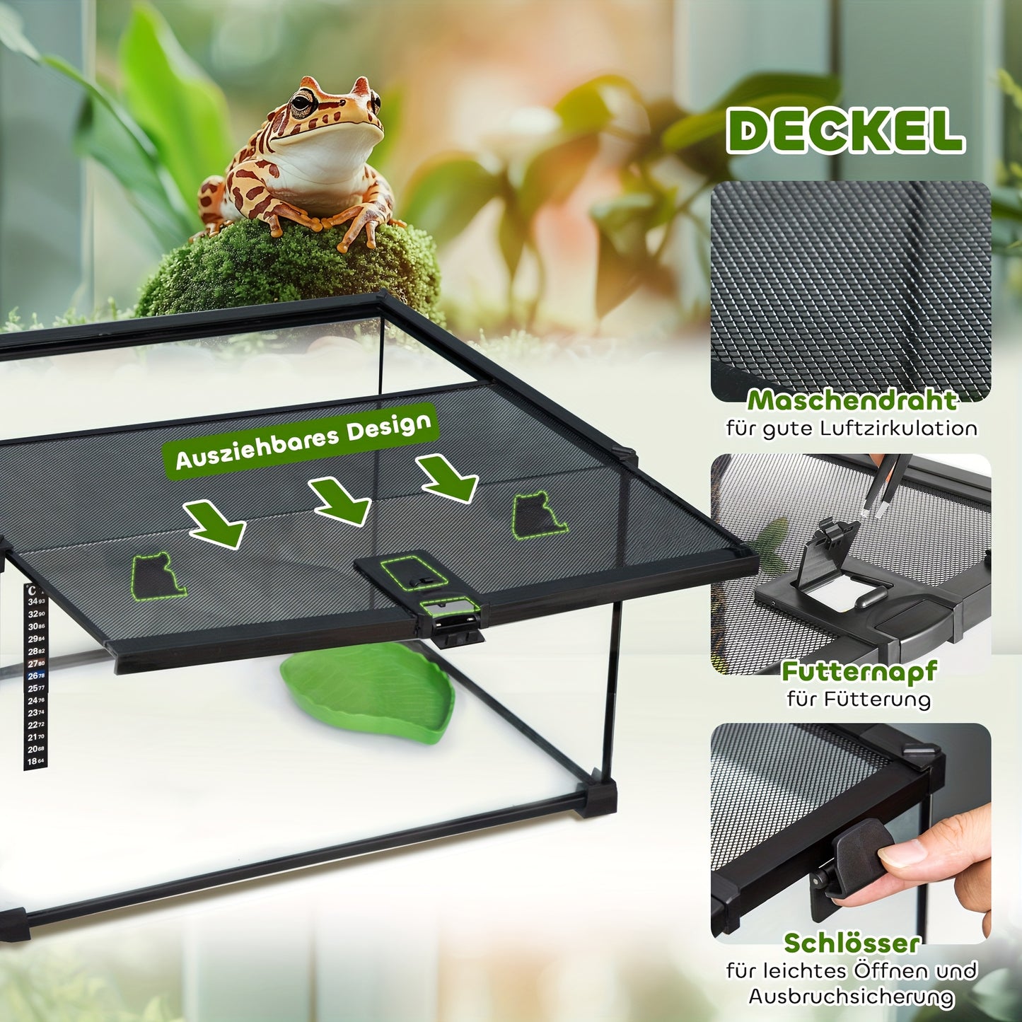 Reptilienterrarium – Glazen Terrarium – Amfibieën Terrarium – Spinnenterrarium – Kweekbak – Zwart Design – Ingebouwde Thermometer – 50 x 30 x 25 cm