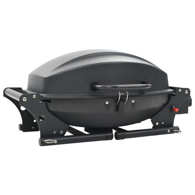 Barbecue And Portable Grill with Black Stove