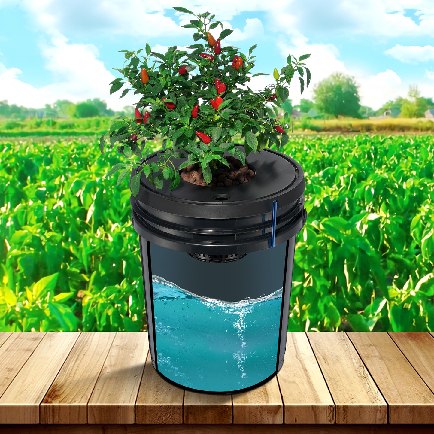 Hydroponicsysteem – Hydrocultuursysteem – Kweekset – Plantenbak – DWC Grow Kit – 20 Liter Capaciteit – Krachtige 8W Luchtpomp