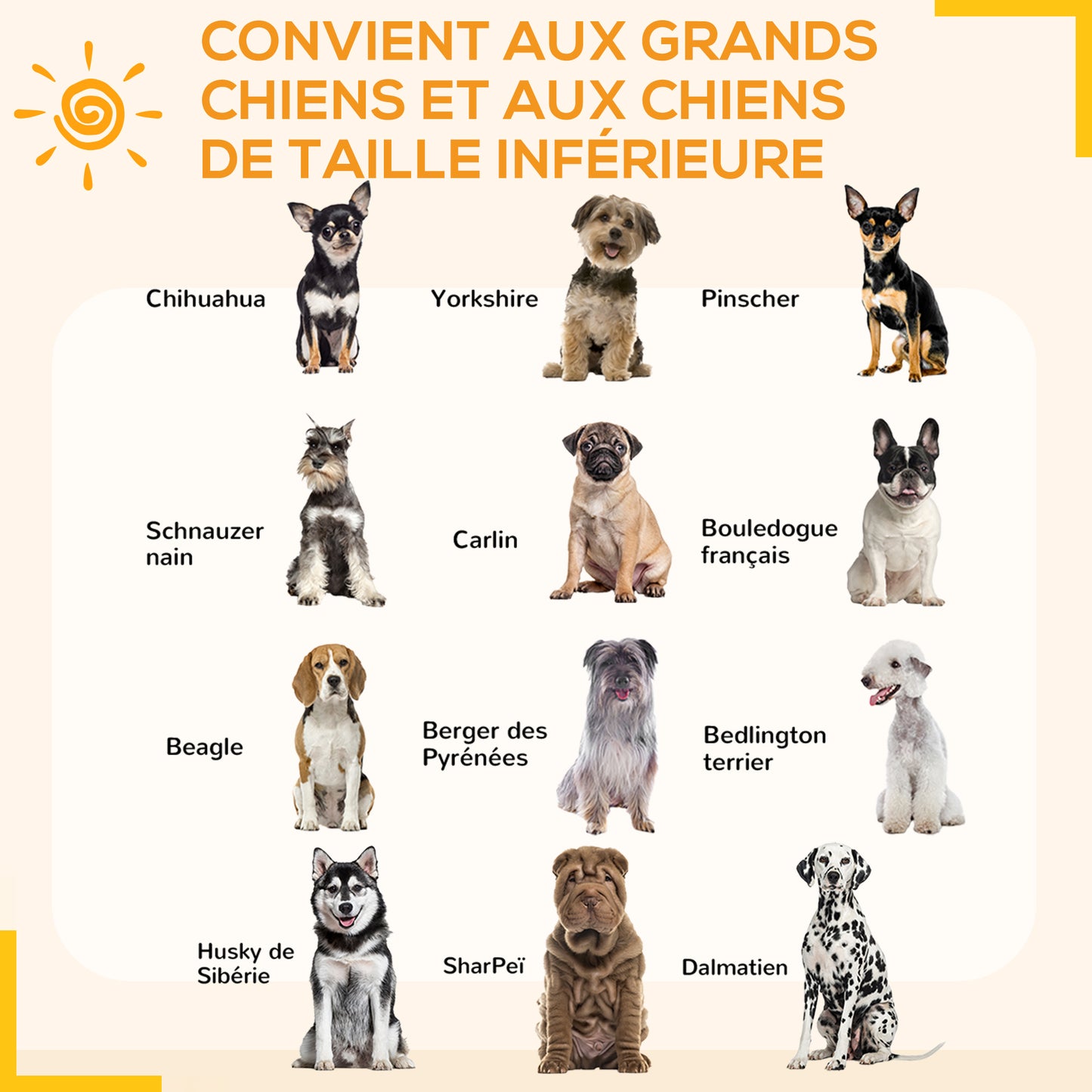 Hondenren – Puppyren – Hondenbench – Hondenkennel – Dierenren – Modulair Ontwerp – Epoxy Staal 100 cm Hoog